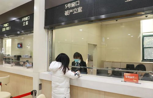 上海浦东法院受理破产审判庭成立后首案 聚焦计算机信息技术咨询服务行业